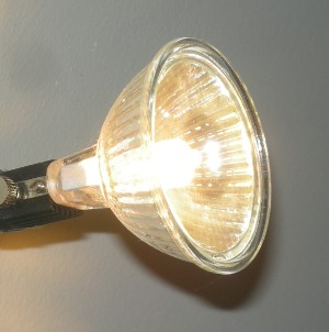 halogen20w